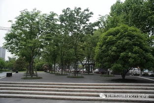 2017年度杭州市優(yōu)秀園林綠化工程道路組金獎(jiǎng) 莫干山路綜合整治景觀(guān)工程